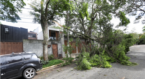 foto Notícia Porto Seguro