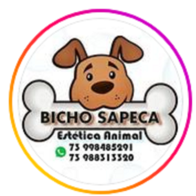 Bicho Sapeca Porto Seguro BA