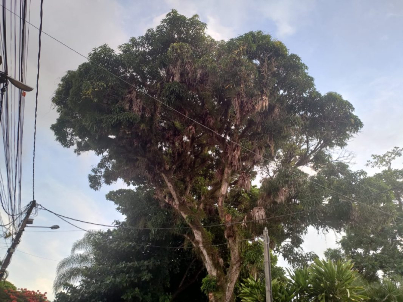 foto Notícia Porto Seguro